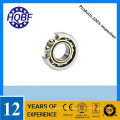 Self Aligning Ball Bearing Swivel Plate Set Screw Skate